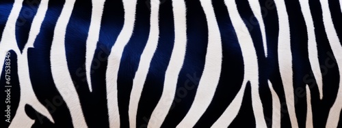 Zebra seamless pattern background. Animal skin texture in retro fashion style.