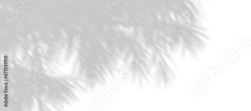 Realistic shadow shade branches leaves trees movement on transparent backgrounds png