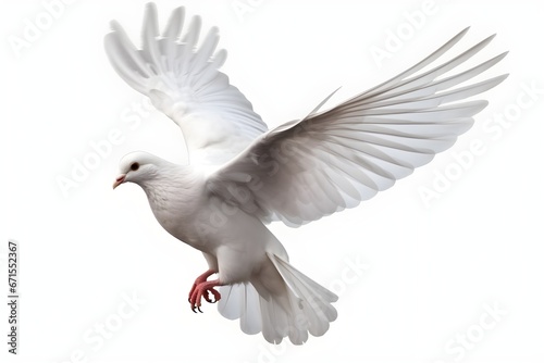 a white dove flying in the air