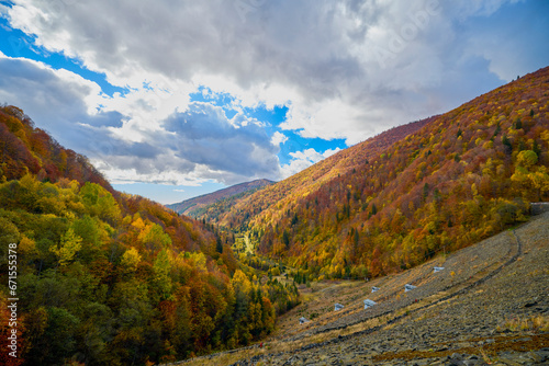 beautiful autumn landscape with mountain forest at the beginning of November.