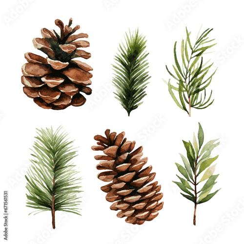 Christmas tree green fir branch and cone watercolor paint on white background for invitation greeting card design