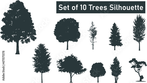 Trees silhouettes. Forest and park pines firs and spruces, coniferous and deciduous trees. Vector isolated retro images nature set photo