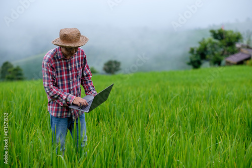 Farmers use laptops to collect data and research rice plants in the mountain fields in order to obtain good and large yields. agricultural technology.