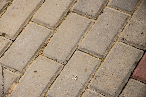 Pavement and the city. Texture, background, photo