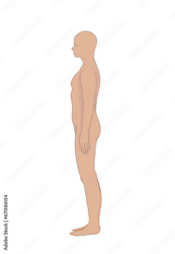 a man's body parts are visible from the side on a white background a man's body parts are visible from the side on a white background