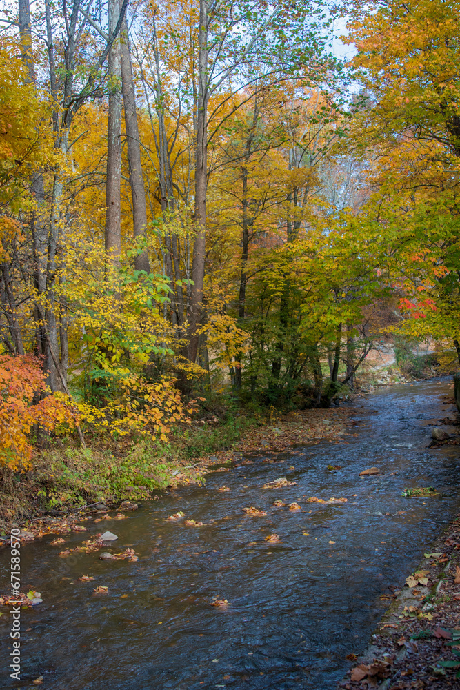 Fall colors in the Blue Ridge Mountains of western North Carolina Fall colors in the Blue Ridge Mountains of western North Carolina