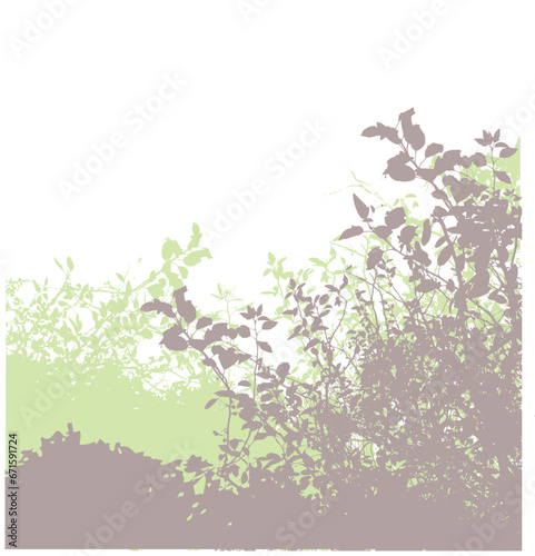Plant life vector image