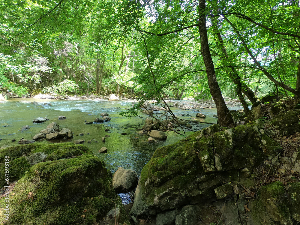 A beautiful canyon of river Jerma in Serbia. Sunny day in the nature. A beautiful canyon of river Jerma in Serbia. Sunny day in the nature.