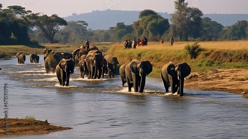 Photo People watching African elephants (Loxodonta africana) crossing river