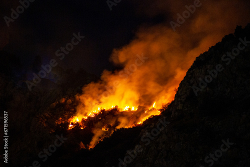 fire in the forest on the top of the mountain