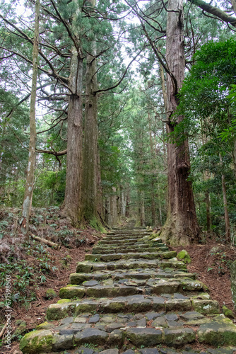 Daimon-zaka cobblestone staircase slope to Kumano Nachi Taisha, Seiganto-ji Temple and Nachi waterfall, Nachisan, Japan, on Kumano Kodo pilgrimage route lined with Japanese cedars and bamboo groves