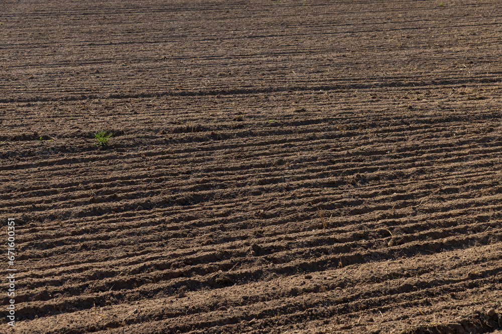 plowed soil in a field during preparation for sowing plowed soil in a field during preparation for sowing