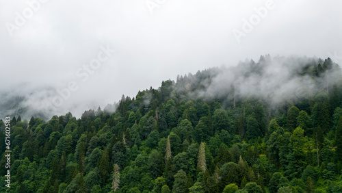 Fog settling between two mountains. Green natural forest at the foot of the mountains. Aerial view © enezselvi
