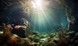Underwater view of coral reef with fish and rays of sunlight.