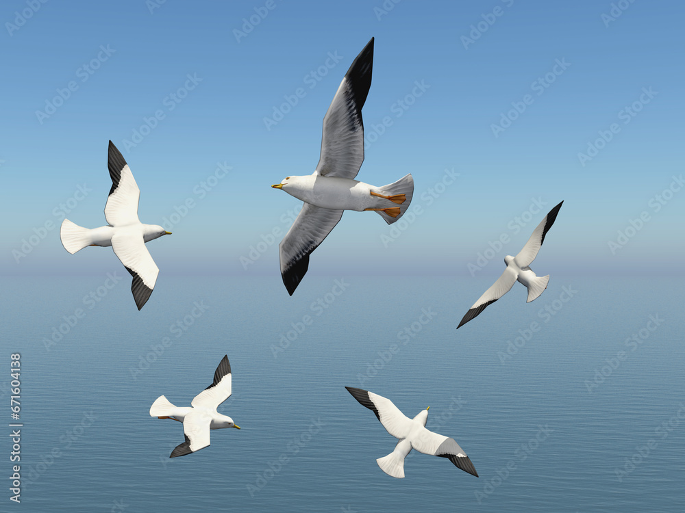 Fototapeta premium Seemöwen über dem Meer