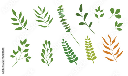 Spring leaves vector set. Floral collection. Flowers and plants clip art. Flat vector in cartoon style isolated on white background.