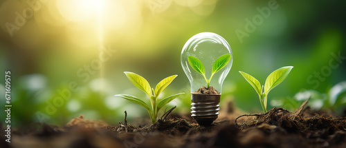 Blooming plant inside light bulb, representing eco-friendly green technology and innovation for sustainable businesses photo