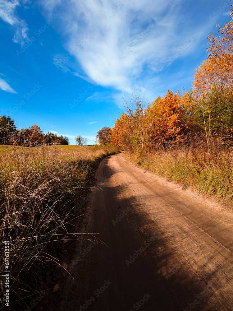 road in autumn