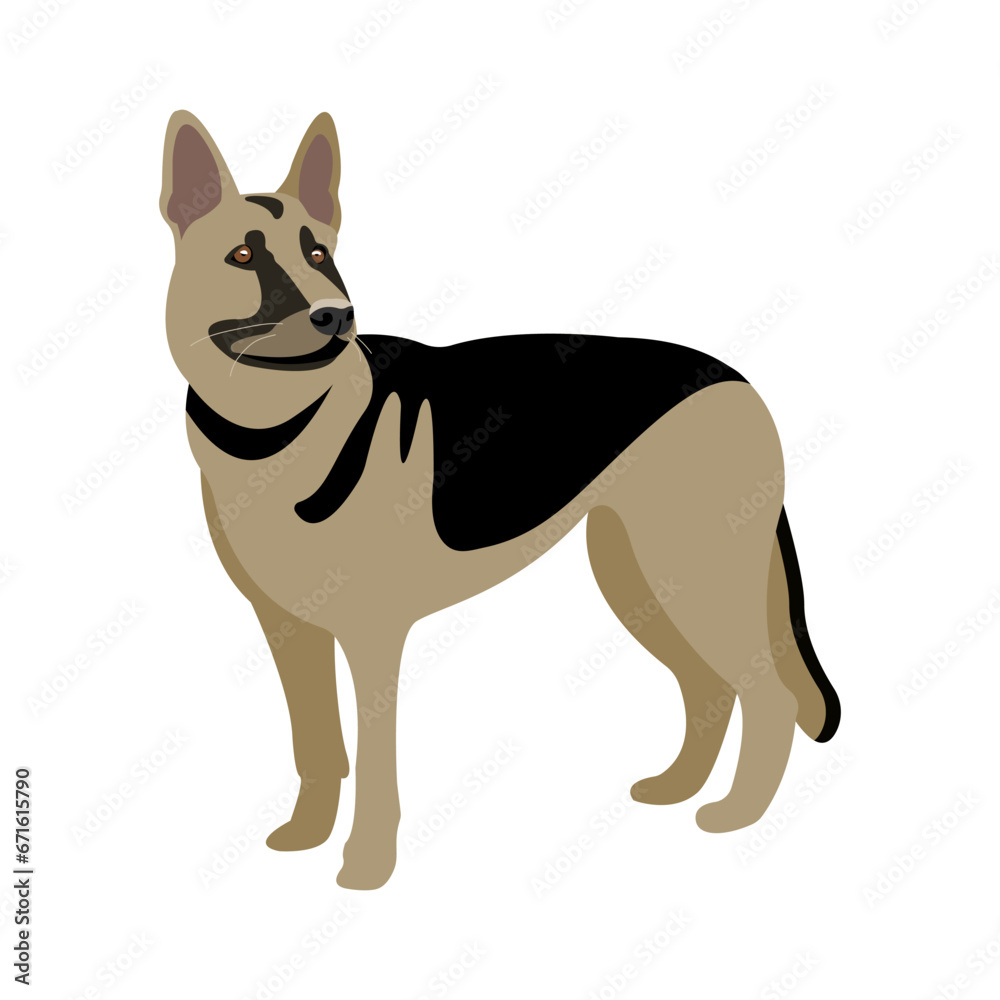German shepherd on a white background vector illustration. Service dog. 