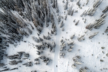 Aerial view of winter landscape atop alpine forest mountain top