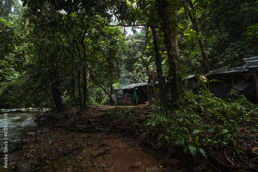 hut in the jungle of southeast asia, Sumatra, Indonesia hut in the jungle of southeast asia, Sumatra, Indonesia