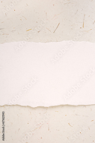 Torn ripped blank paper background in neutral color tones. Contains copy space.