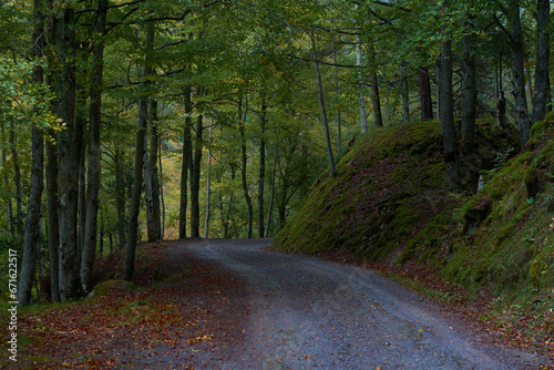 The colors of autumn in the beech forest on the route to the Puente Ra waterfalls in the Sierra de Cebollera (La Rioja). Spain