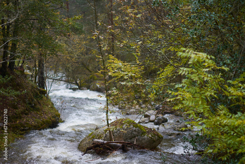 The colors of autumn in the beech forest on the route to the Puente Ra waterfalls in the Sierra de Cebollera (La Rioja). Spain photo