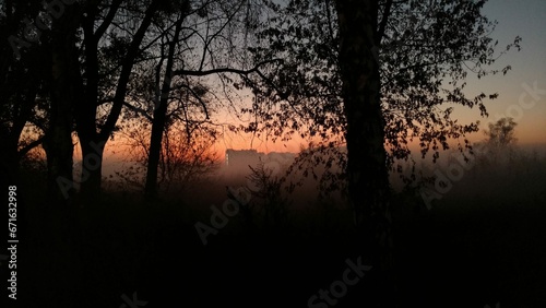 The autumn foliage  painted in various shades of red  orange  and gold  might appear partly obscured by the gentle veil of fog.