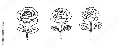 set of the black rose vector