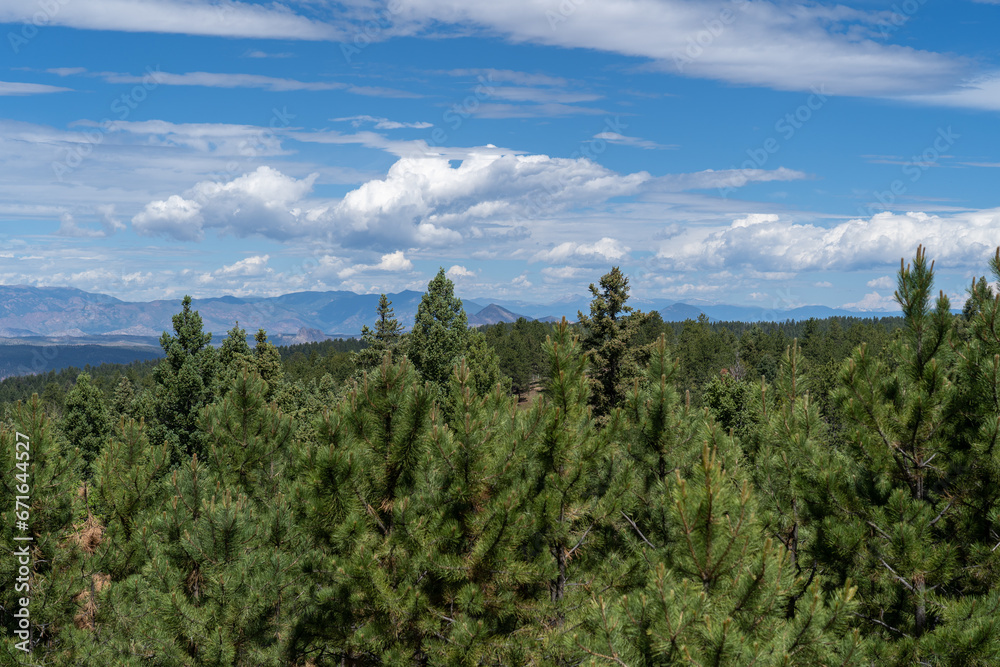 Fototapeta premium Pike's Peak as viewed from Lovell Gulch Trail in Pike National Forest near Woodland Park and Colorado Springs, CO on a sunny summer afternoon