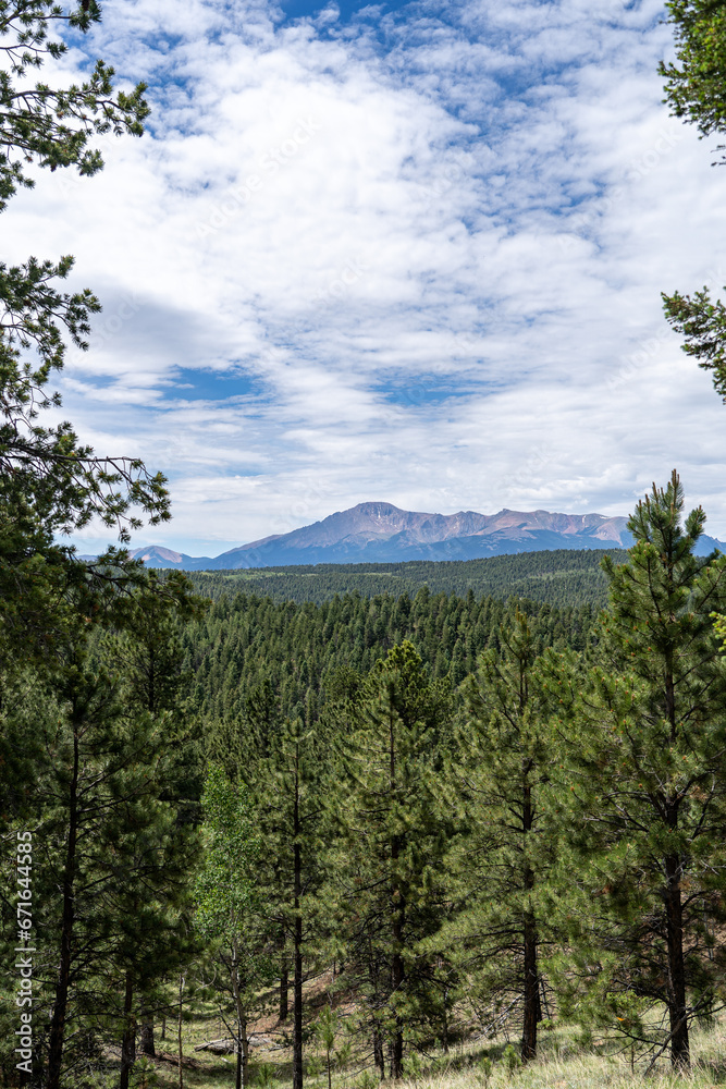 Obraz premium Pike's Peak as viewed from Lovell Gulch Trail in Pike National Forest near Woodland Park and Colorado Springs, CO on a sunny summer afternoon
