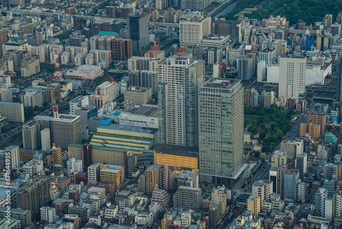 View of the Japanese city from Tokyo Skytree, Japan