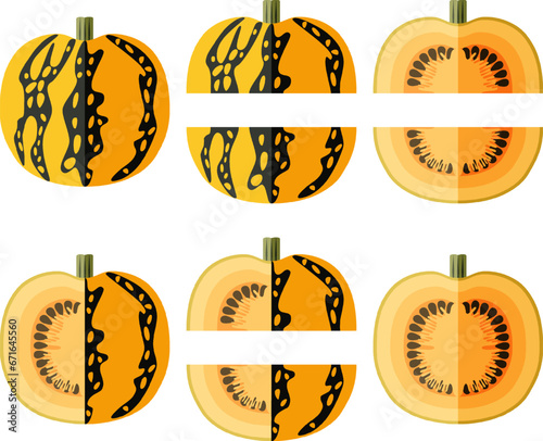 Set of Styrian oil pumpkin. Winter squash. Cucurbita pepo. var. Styriaca. Fruits and vegetables. Flat style. Isolated vector illustration. photo