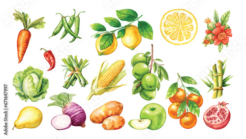Fototapeta Naklejka Na Ścianę i Meble -  Watercolor painted collection of vegetables and fruits. Hand drawn fresh food design elements isolated on white background.