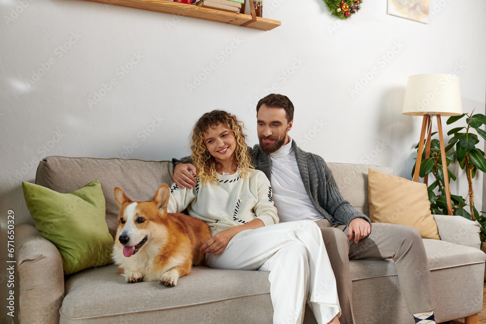 happy couple in casual winter outfits sitting on couch and cuddling corgi dog in modern apartment