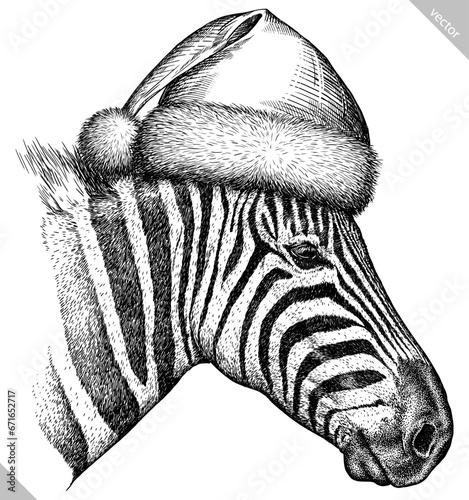 Vintage engraving isolated zebra horse set dressed christmas illustration ink santa costume sketch. Wild equine background nag mustang animal silhouette new year hat art. Black and white vector image