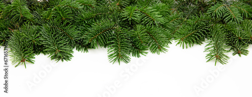 Christmas tree border isolated on white background  Xmas spruce  green fir pine branch  greeting card template