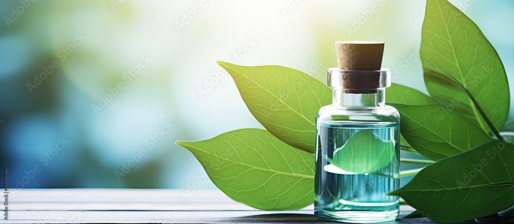 Bio skincare product development in a natural organic cosmetic laboratory emphasizing the concept of beauty through science and leaves Bio skincare product development in a natural organic cosmetic laboratory emphasizing the concept of beauty through science and leaves