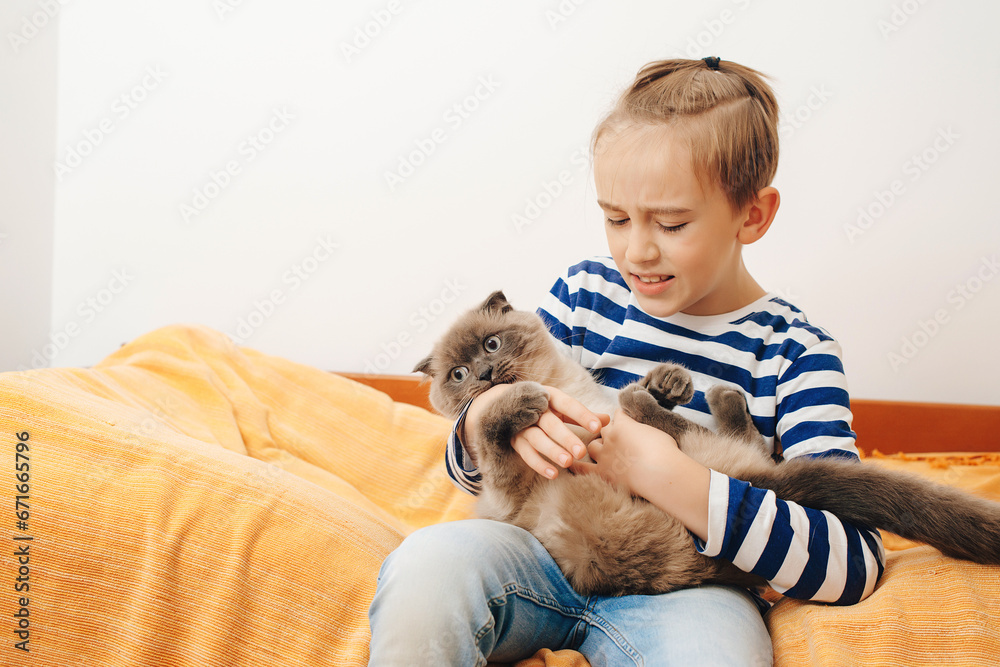 Happy kid hugging his cat. Boy relaxing on the bed with pet. Childhood, true friendship and home pet. Happy kid hugging his cat. Boy relaxing on the bed with pet. Childhood, true friendship and home pet.