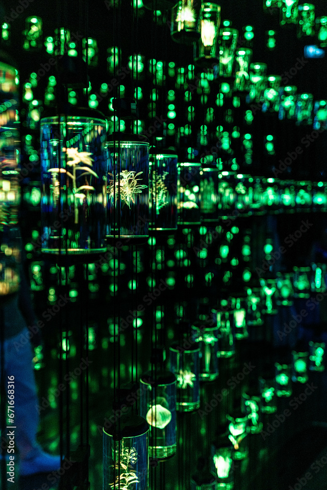 Obraz premium Neon species