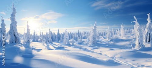 Stunning panorama view of snowy landscape in winter - winter wonderland forest snowscape snow nature