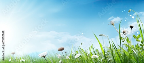 Abstract nature background with grass and blue sky in the meadow
