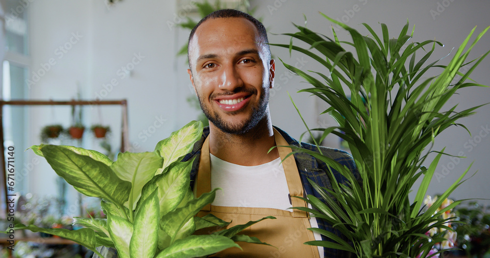 Obraz premium Cheerful professional florist African American man floral worker wearing apron holding house plants flowers at cozy flower shop looking at camera smiling.