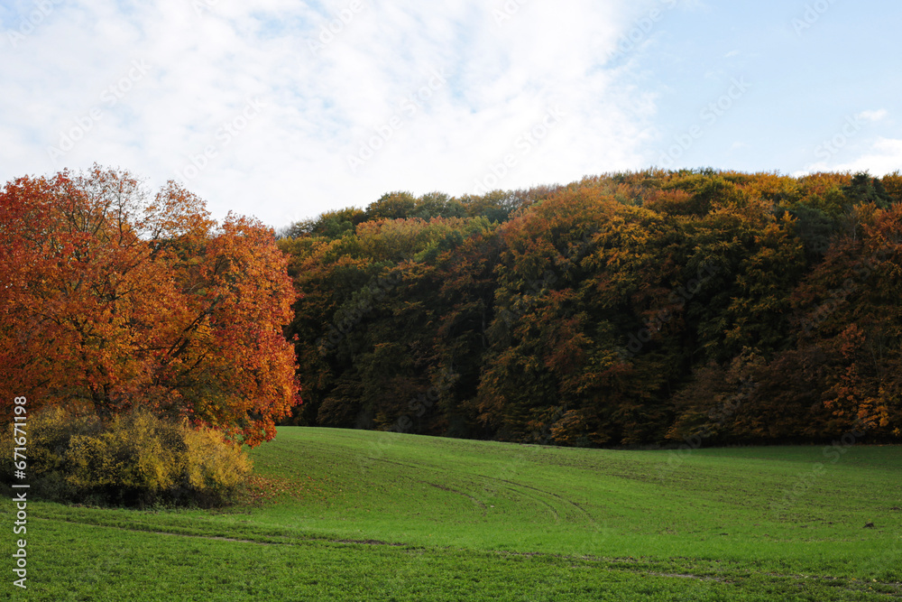 autumn in Uckermark