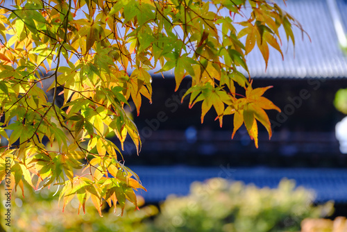 temple in autumn