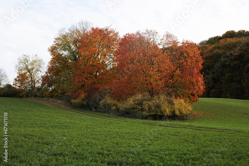 autumn in Uckermark