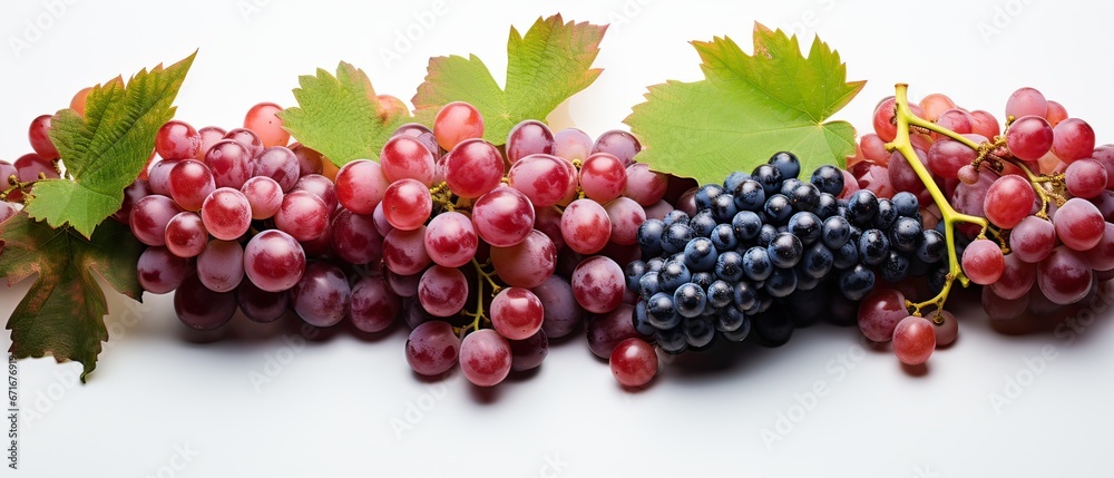 Border of fresh grapevine with ripe grapes. Border of fresh grapevine with ripe grapes.