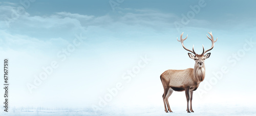 Christmas deer in winter snow field. Merry christmas and Happy new year background. Generative ai © toodlingstudio