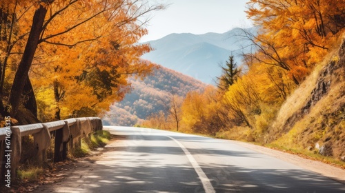 Road with orange  yellow trees inside in autumn  illustration for autumn graphics.